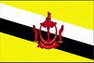 brunei flag
